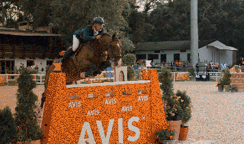 Horse Times Egypt: Equestrian Magazine :Articles :MOROCCO ROYAL TOUR 2023