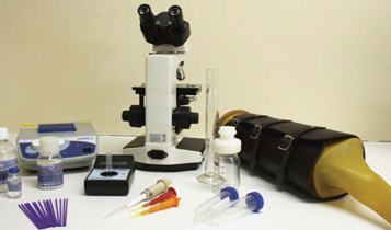 Horse Times Egypt: Equestrian Magazine :Articles :MEDICAL TIPS ARTIFICIAL INSEMINATION