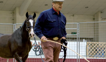 Horse Times Egypt: Equestrian Magazine :Articles :Monty Roberts (Part 1)