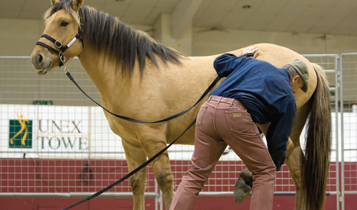 Horse Times Egypt: Equestrian Magazine :Articles :Monty Roberts The Man Who Whispers To Horses Part 2