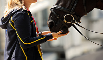 Horse Times Egypt: Equestrian Magazine :Articles :MEDICAL NATURAL SUPPLEMENTS FOR YOUR HORSE 