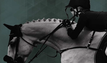 Horse Times Egypt: Equestrian Magazine :Articles :SOFITEL HORSE SHOW AT FEROUSIA CLUB:  A HOST OF YOUNG FRESH TALENT IN THE HEART OF ZAMALEK