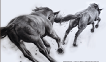 Horse Times Egypt: Equestrian Magazine :Articles :SUSAN LEYLAND AND PATSY MCARTHUR TWO WOMEN ARTISTS WITH DIFFERENT VISION – SINGLE PASSION