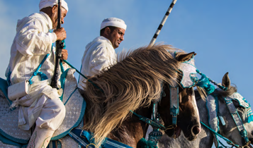 Horse Times Egypt: Equestrian Magazine :Articles :SALON DU CHEVAL D'EL JADIDA 2014 GROWING FROM STRENGTH TO STRENGTH