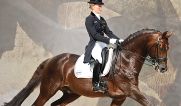 Horse Times Egypt: Equestrian Magazine :Articles :THE ART OF CLASSICAL DRESSAGE RIDING CANTER AND GALLOP – PART 2