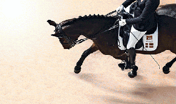 Horse Times Egypt: Equestrian Magazine :Articles :THE ART OF CLASSICAL DRESSAGE RIDING, HOW CAN I COMPETEIN DRESSAGE?