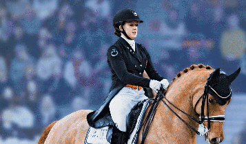 Horse Times Egypt: Equestrian Magazine :Articles :THE ART OF CLASSICAL DRESSAGE RIDING HOW CAN I COMPETE IN DRESSAGE?