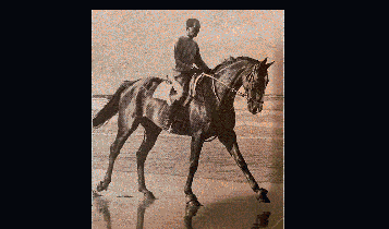 Horse Times Egypt: Equestrian Magazine :Articles :THE GOLDEN AGE OF SHOWJUMPING BERT DE NEMETHY - THE ONE AND ONLY MAESTRO