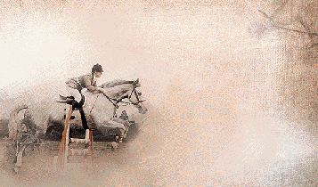 Horse Times Egypt: Equestrian Magazine :Articles :THE GOLDEN AGE OF SHOWJUMPING, CAROLINE BRADLEY AND MILTON