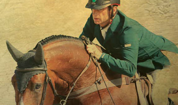 Horse Times Egypt: Equestrian Magazine :Articles :TRAINING TIPS STRATEGY BEFORE THE COURSE: DISTANCE