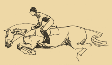 Horse Times Egypt: Equestrian Magazine :Articles :Technical Tips Understanding Position & Balance