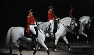Horse Times Egypt: Equestrian Magazine :Articles :THE ART OF CLASSICAL DRESSAGE RIDING THE TRAINING SCALE (PART 2)