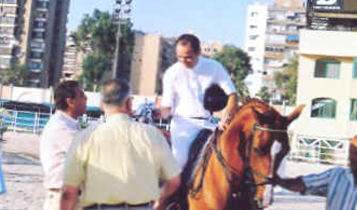 Horse Times Egypt: Equestrian Magazine :Articles :The Egyptian National Cup 2007