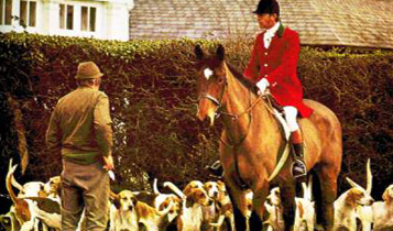 Horse Times Egypt: Equestrian Magazine :Articles :The History of Show Jumping