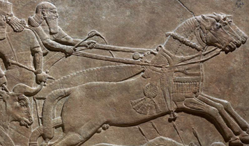 Horse Times Egypt: Equestrian Magazine :Articles :THE HORSE FROM ARABIA TO ROYAL ASCOT