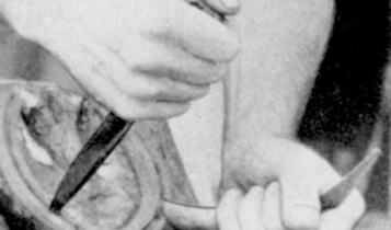 Horse Times Egypt: Equestrian Magazine :Articles :Tips of the Day: Show Jumping, Dressage & Schoeing