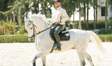Horse Times Egypt: Equestrian Magazine :Articles :TRAINING TIPS DEVELOPING YOUR RIDING SKILLS