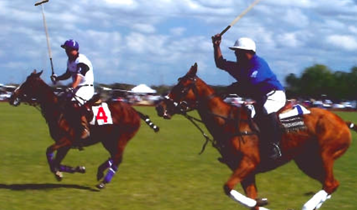 Horse Times Egypt: Equestrian Magazine :Articles :Vibrant Polo
