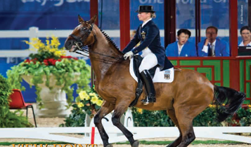 Horse Times Egypt: Equestrian Magazine :Articles :View Point from the 2008 Beijing Olympics