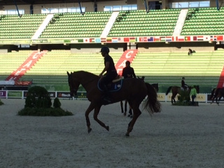 Horse Times Egypt: Equestrian Magazine :HorseTimes Blog :>> The Perils Of Show Jumping Sport - 9