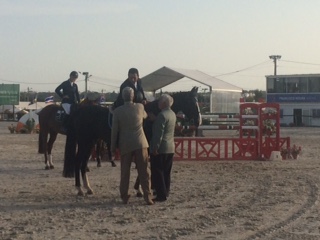 Horse Times Egypt: Equestrian Magazine :HorseTimes Blog :The Perils Of Show Jumping Sport - 15