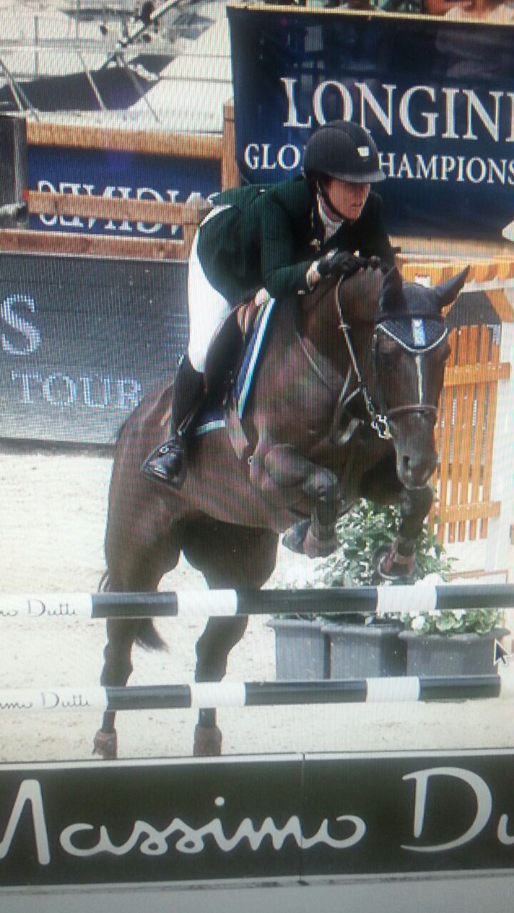 Horse Times Egypt: Equestrian Magazine :HorseTimes Blog :The Perils Of Show Jumping Sport - 16