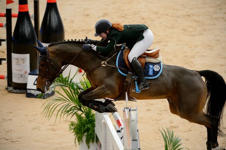 Horse Times Egypt: Equestrian Magazine :HorseTimes Blog :The Perils Of Show Jumping Sport - 19