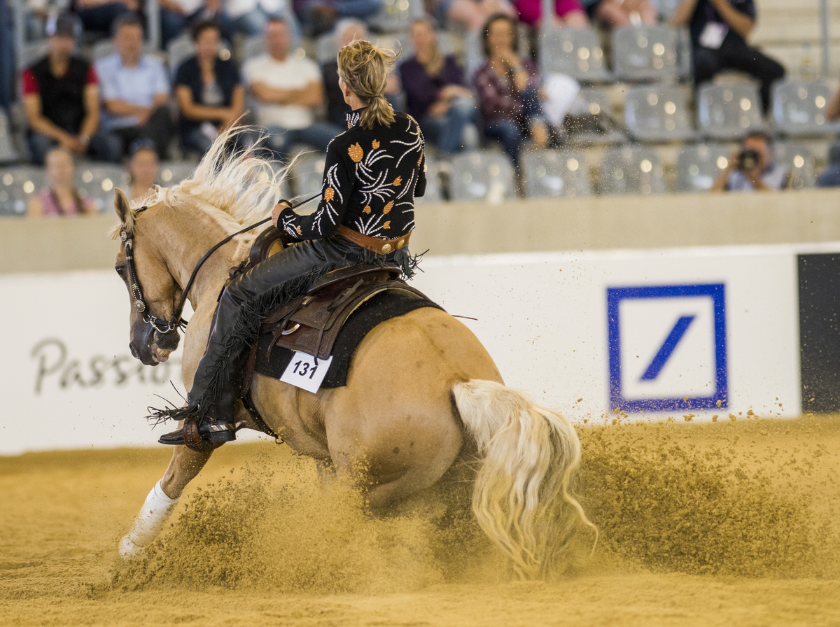 Horse Times Egypt: Equestrian Magazine :News :REINING RESULTS - FINAL TEAM STANDINGS AND 1ST QUALIFYING INDIVIDUAL COMPETITION