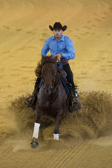 Horse Times Egypt: Equestrian Magazine :News :REINING RESULTS AACHEN 2015 - HAVENS HORSEFEED-PRIZE FINAL INDIVIDUAL COMPETITION
