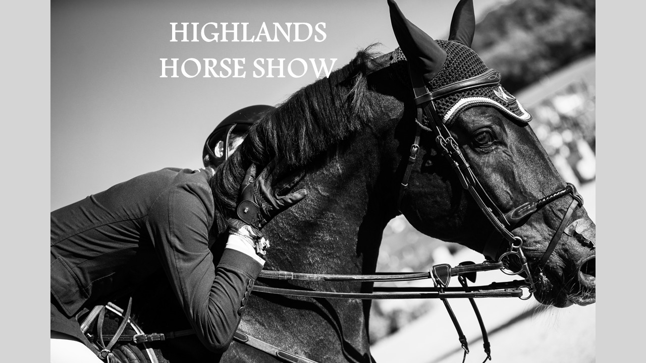 Horse Times Egypt: Equestrian Magazine :Headlines :Monday 29-Sep-2025 Headlines