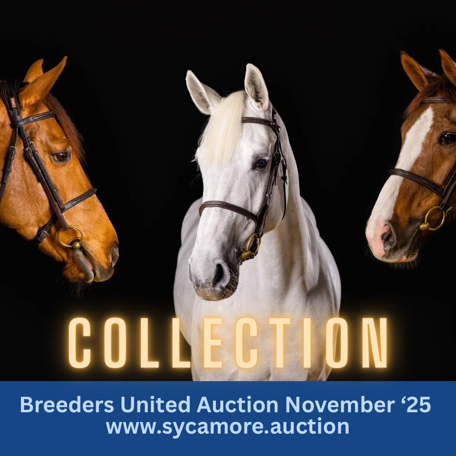 Horse Times Egypt: Equestrian Magazine :Headlines :Wednesday 19-Nov-2025 Headlines