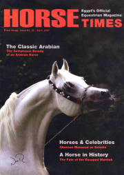 Horse Times Egypt: Equestrian Magazine :Issues :Issue No. 22