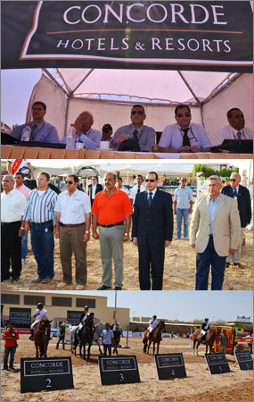 Horse Times Egypt: Equestrian Magazine :News :CSI*** SHARM EL SHEIKH