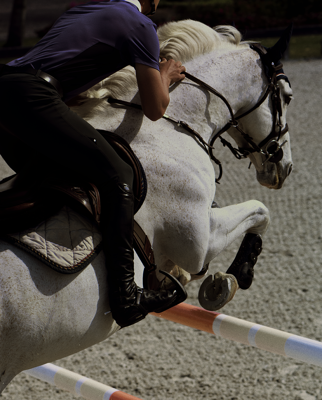 Horse Times Egypt: Equestrian Magazine :News :PJL ANNOUNCES LANDMARK $50M FIRST TEAM ACQUISITION BY MCCARTHY JUMPING TEAM
