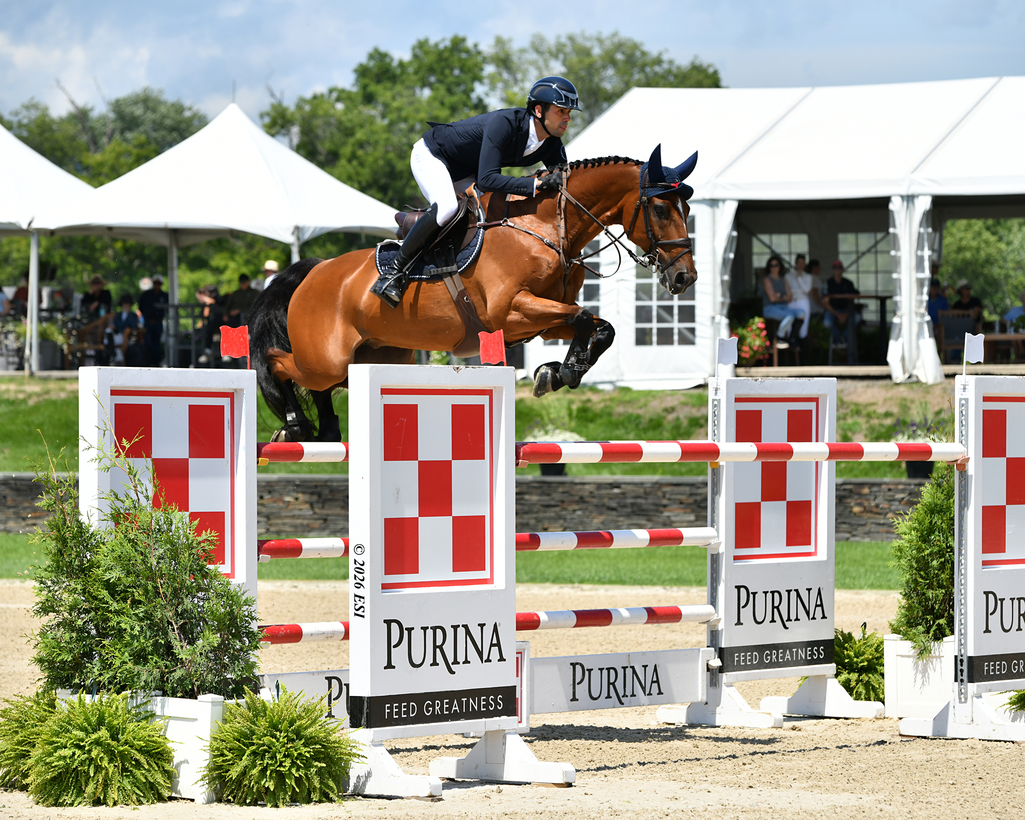 Horse Times Egypt: Equestrian Magazine :News :NAYEL NASSAR NOTCHES ANOTHER VICTORY QITH IGOR VAN DE WITTEMOERE IN $116,050 PURINA CSI3* GRAND PRIX