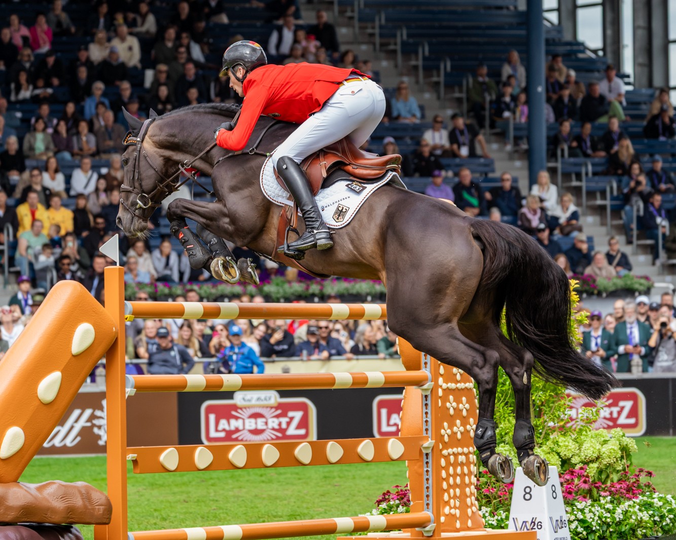 Horse Times Egypt: Equestrian Magazine :News :GERMANY LEADS & SCHOCKEMÖHLE SHINES: FEI WORLD CHAMPIONSHIPS AACHEN 2026