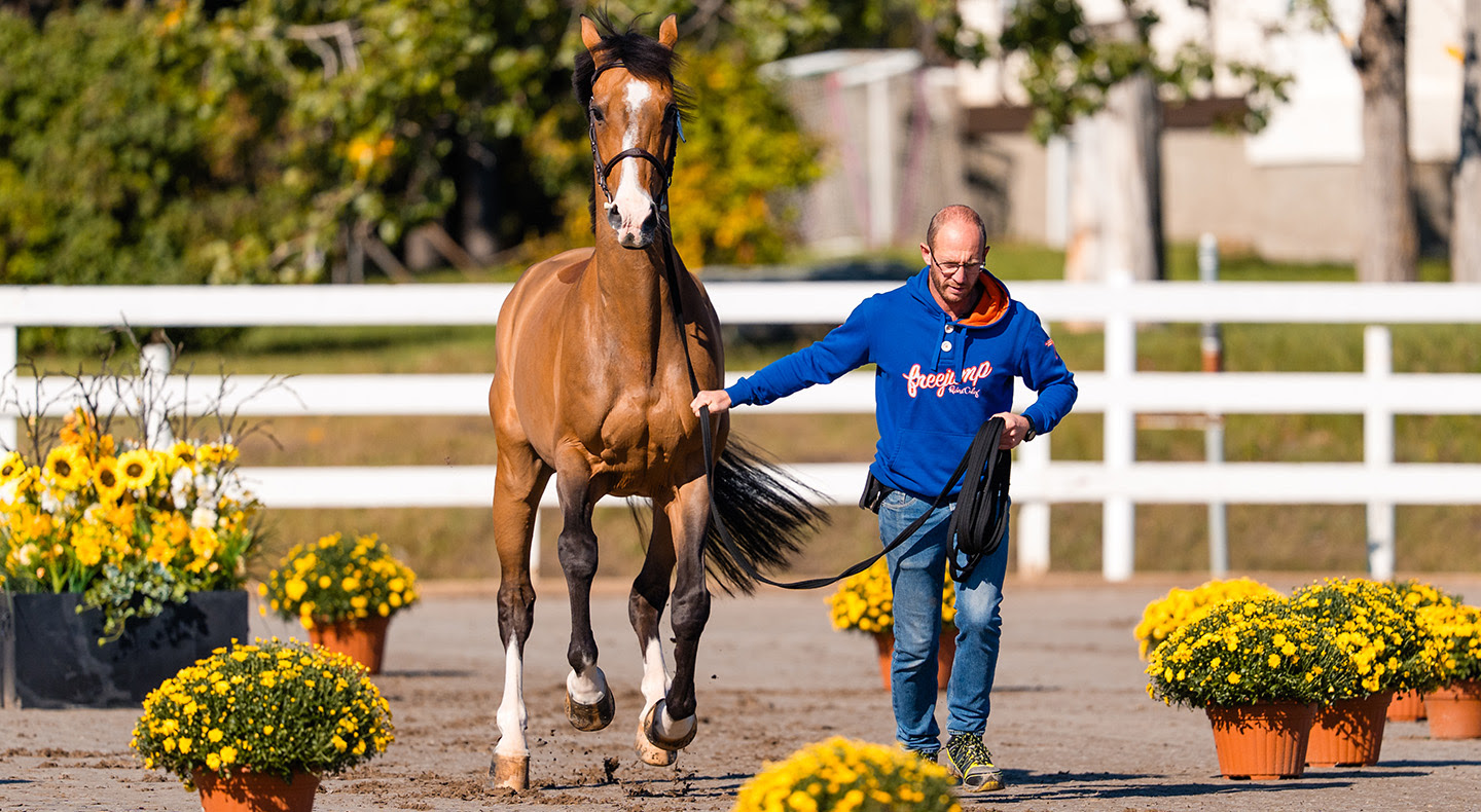 Horse Times Egypt: Equestrian Magazine :News :INTERNATIONAL COMPETITIONS AT CSIO5* SPRUCE MEADOWS ‘MASTERS’ START TODAY - CSI5* ROLEX GRAND SLAM OF SHOWJUMPING