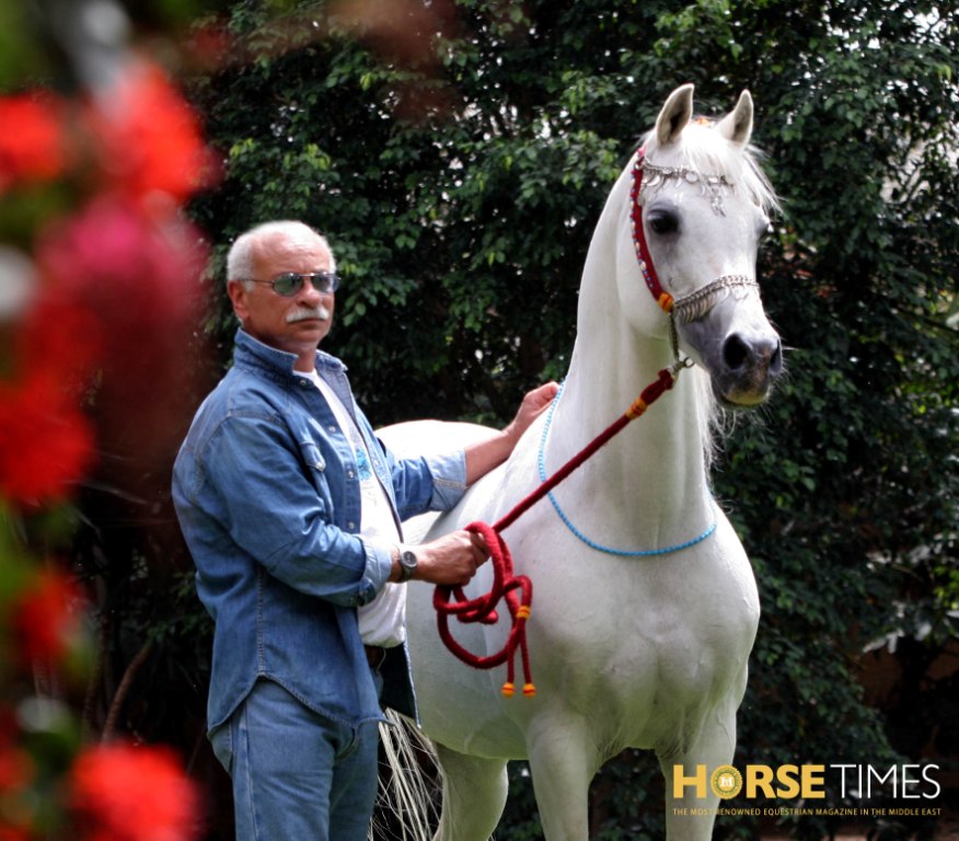 Horse Times Egypt: Equestrian Magazine :News :DR. NASR MAREI RECEIVES THE 2013 LIFETIME ACHIEVEMENT AWARD FOR ARABIAN HORSE BREEDING