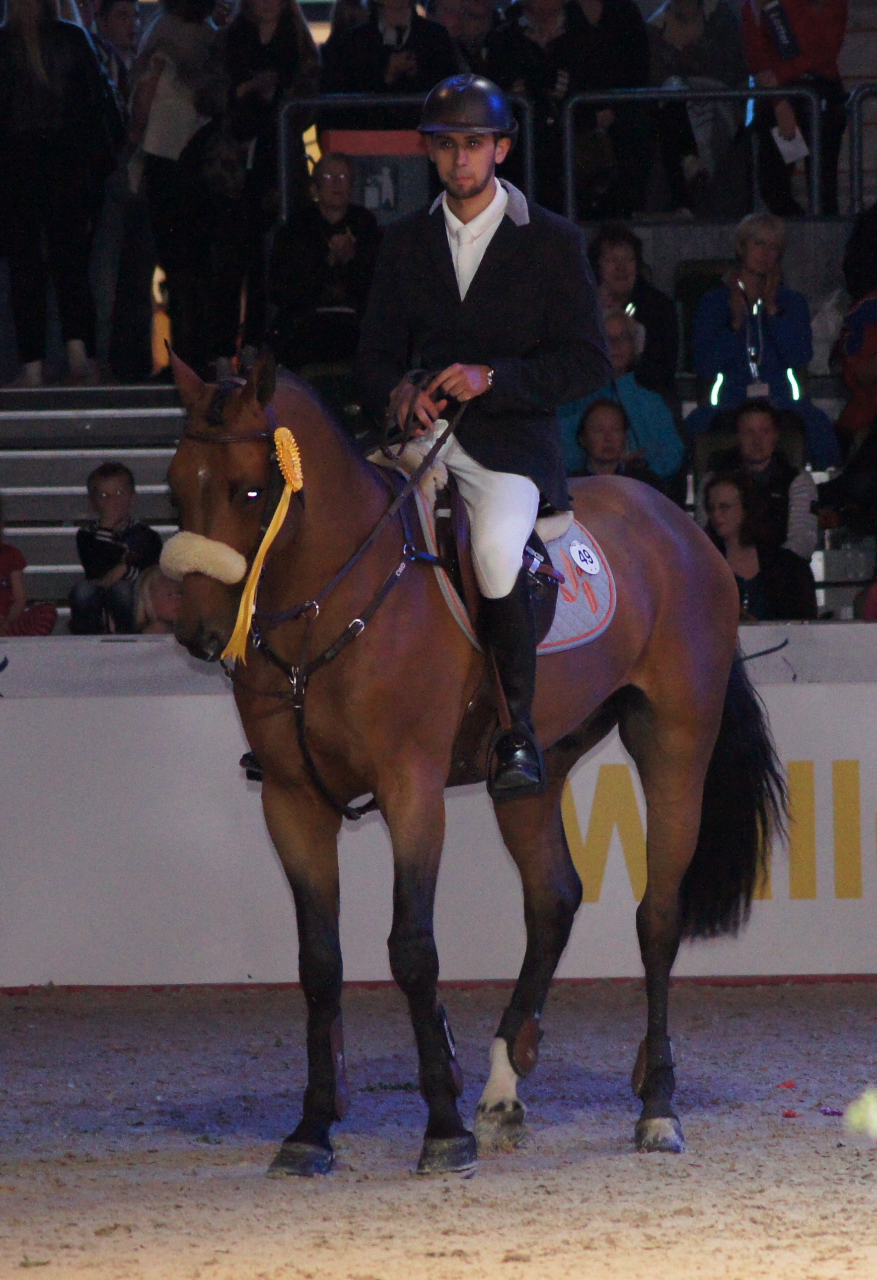 Horse Times Egypt: Equestrian Magazine :News :GOTHENBURG HORSE SHOW 2013 DAY 3