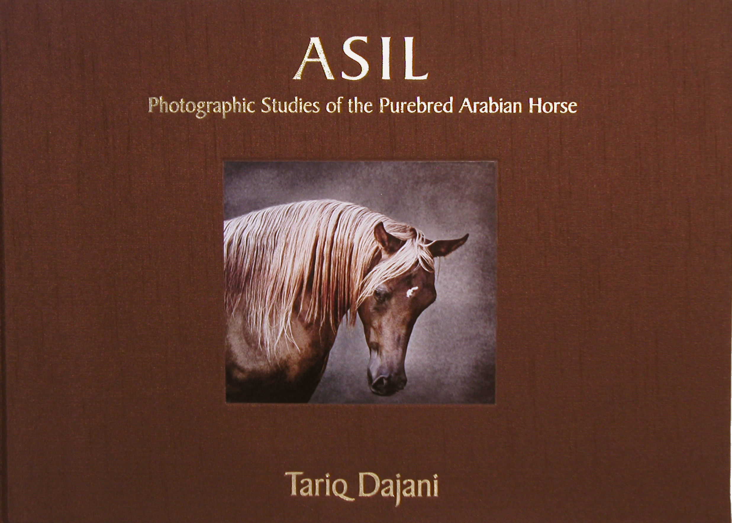 Horse Times Egypt: Equestrian Magazine :News :ASIL: PHOTOGRAPHIC STUDIES OF THE PUREBRED ARABIAN HORSE – IS FINALLY OUT