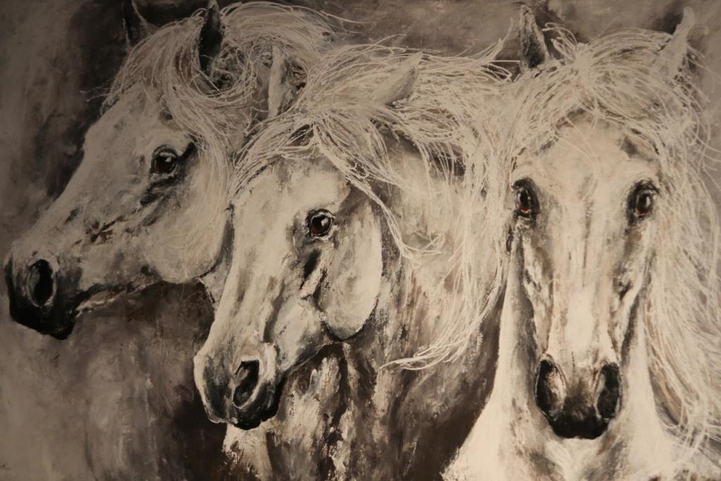 Horse Times Egypt: Equestrian Magazine :News :JUMPING AMSTERDAM 2014