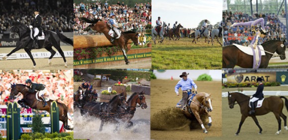 Horse Times Egypt: Equestrian Magazine :News :NOMINATED ENTRIES CONFIRM RECORD NUMBER OF NATIONS FOR THE ALLTECH FEI WORLD EQUESTRIAN GAMES 2014 IN NORMANDY!