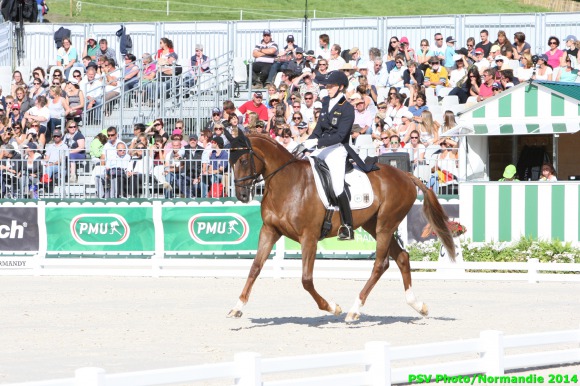Horse Times Egypt: Equestrian Magazine :News :AUFFARTH TAKES CONTROL OF THE LEADERBOARD IN EVENTING DRESSAGE AT THE ALLTECH FEI WORLD EQUESTRIAN GAMES 2014 IN NORMANDY
