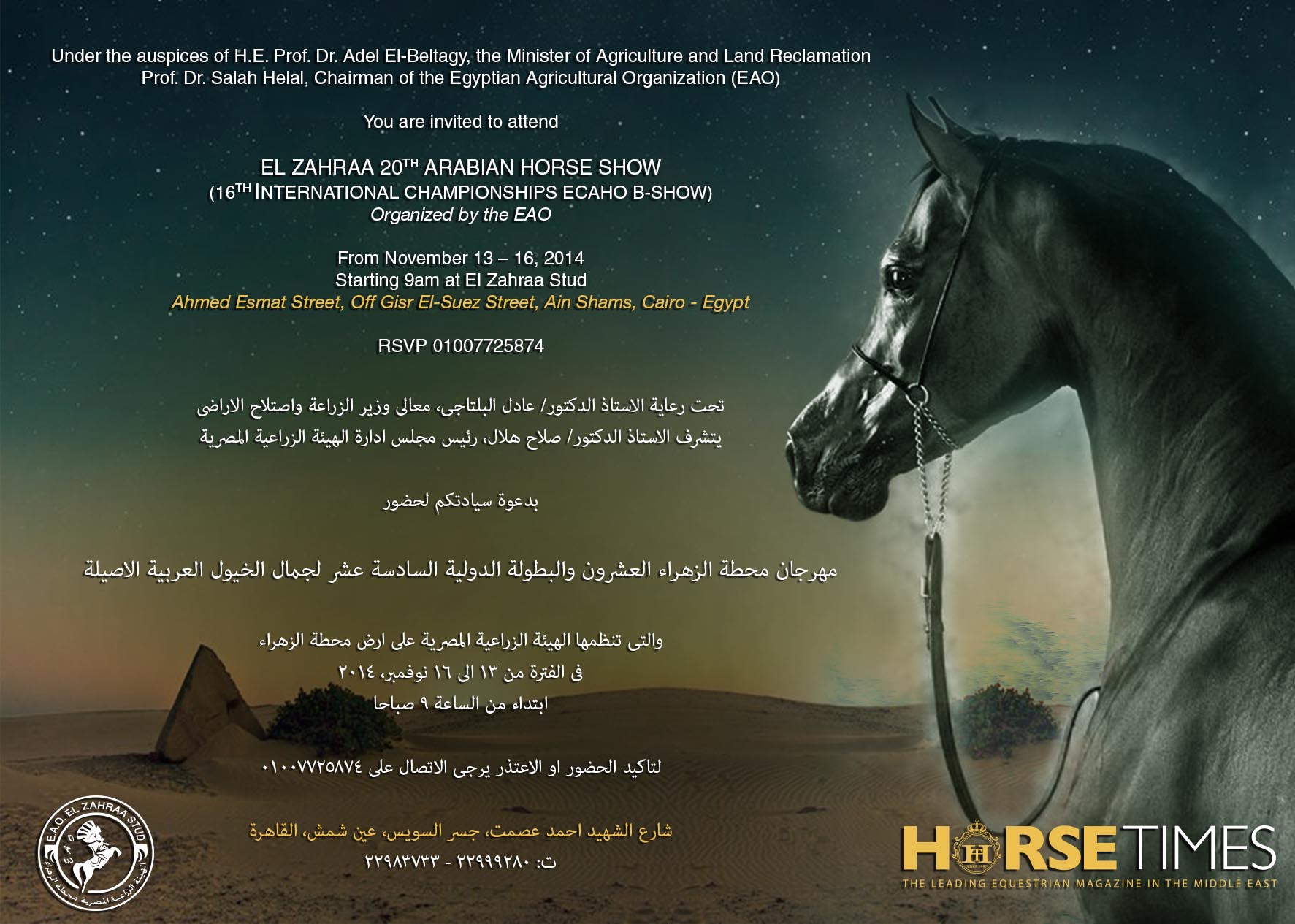 Horse Times Egypt: Equestrian Magazine :News :EL ZAHRAA 20TH ARABIAN HORSE CHAMPIONSHIPS - 2014