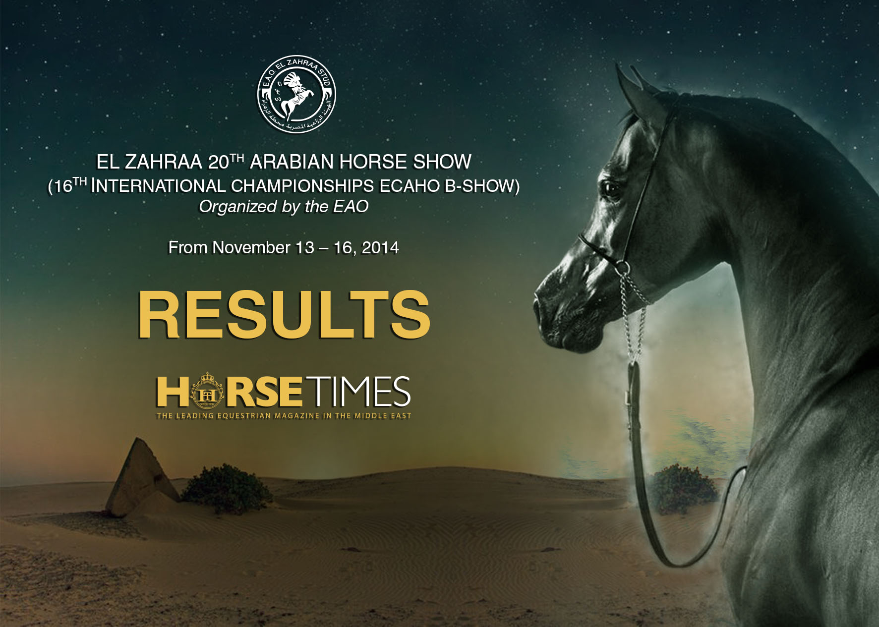 Horse Times Egypt: Equestrian Magazine :News :EL ZAHRAA 20TH ARABIAN HORSE CHAMPIONSHIPS - 2014 RESULTS