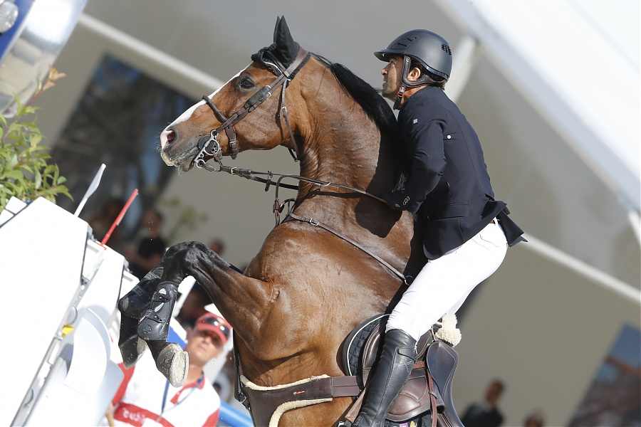Horse Times Egypt: Equestrian Magazine :News :AN INCREDIBLE DEAD HEAT FOR KARIM EL ZOGHBY AND BEN MAHER IN PARIS