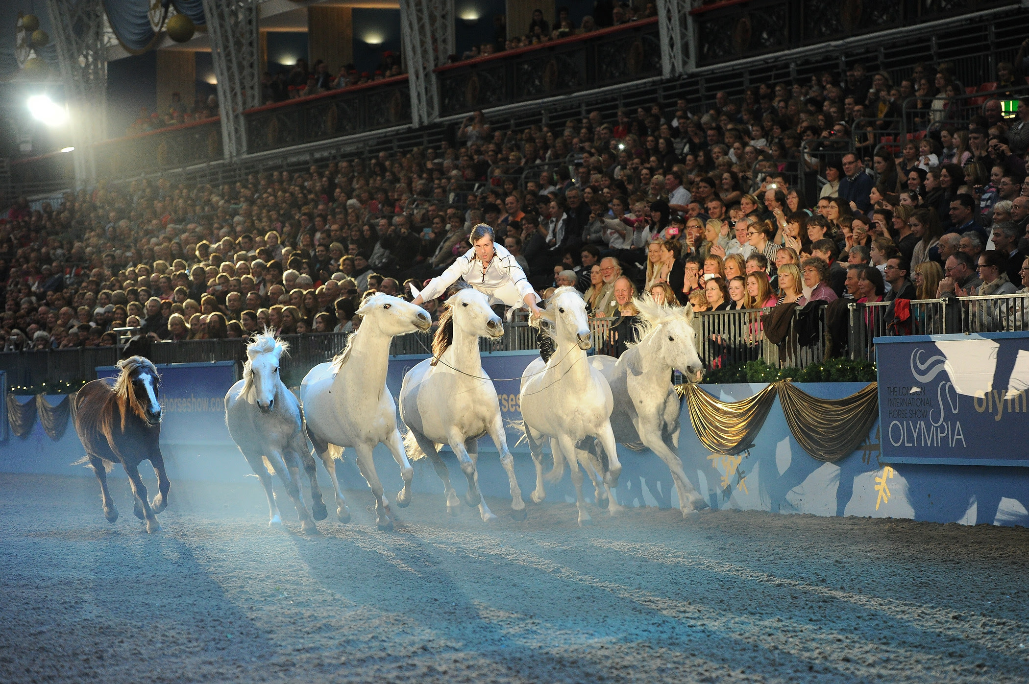 Horse Times Egypt: Equestrian Magazine :News :WORLD FAMOUS HORSE WHISPERER TO HEADLINE OLYMPIA, THE LONDON INTERNATIONAL HORSE SHOW 2015