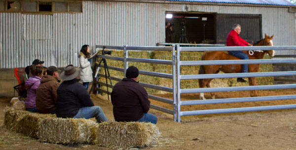 Horse Times Egypt: Equestrian Magazine :News :Why I never use a round yard to train horses