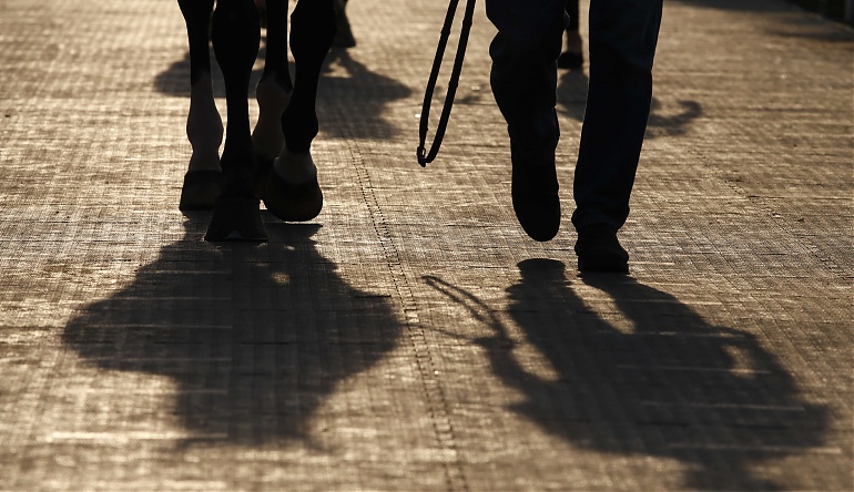 Horse Times Egypt: Equestrian Magazine :News :World’s best showjumpers take top class flight to Doha