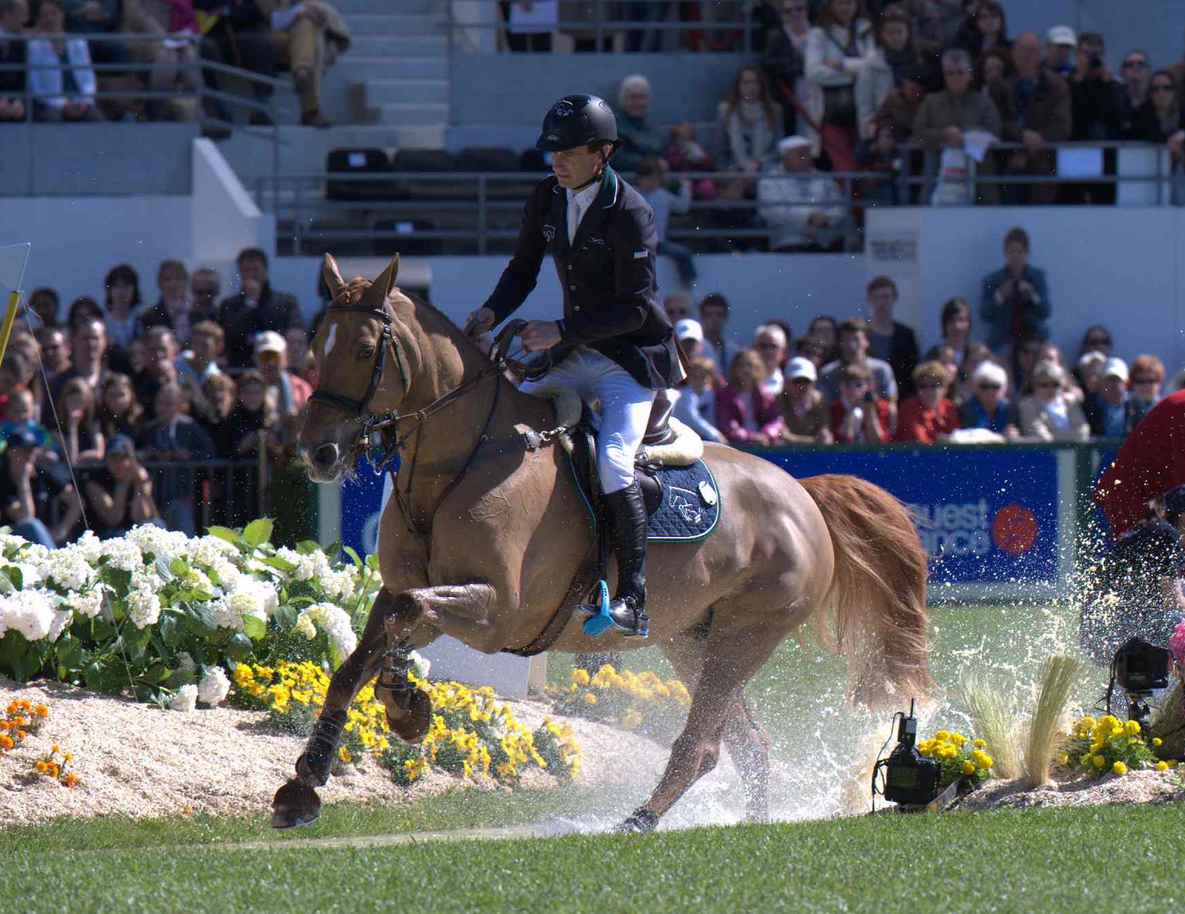 Horse Times Egypt: Equestrian Magazine :News :DENIS LYNCH & NIGHT TRAIN DOMINATE THE CLASS IN LA BAULE CSIO5*